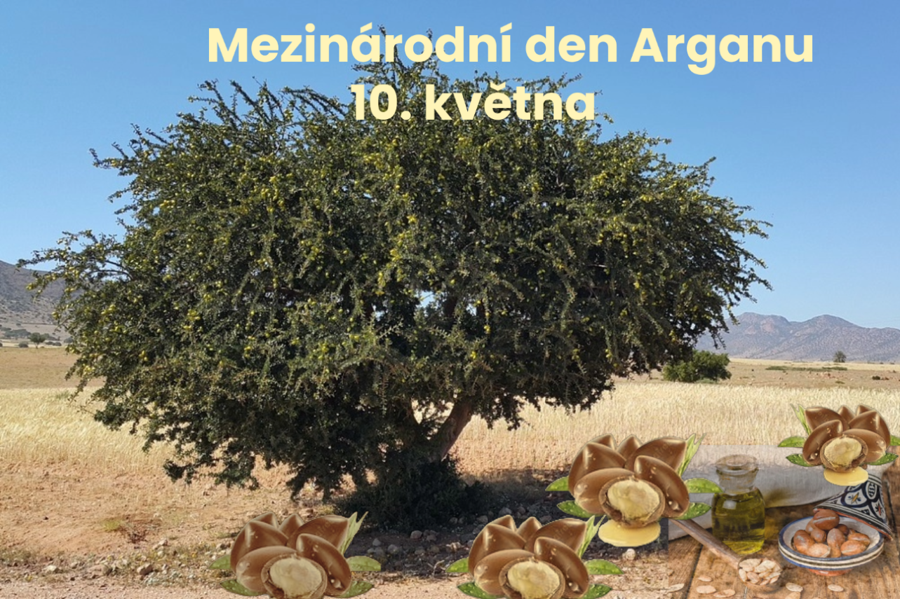 10. květen – Mezinárodní den arganového ovoce
