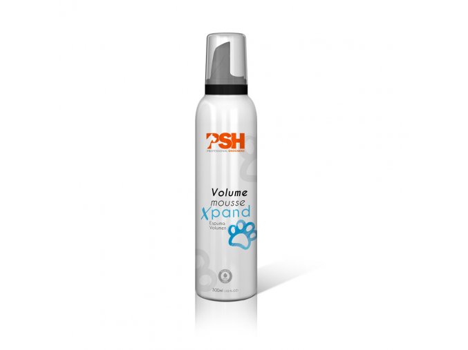 Espuma Xpand PSH 300ML