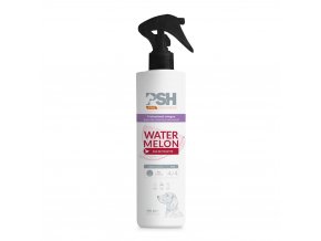 Watermelon EAU 300ML PSH 2024