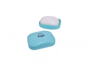 fenjal cteme soap 100 g