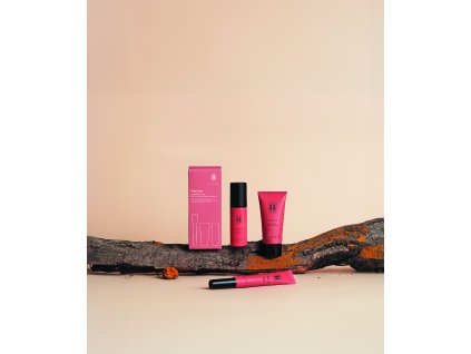 Bjork Frizz Care box CMYK