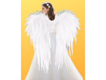 Anděl s velkými křídly