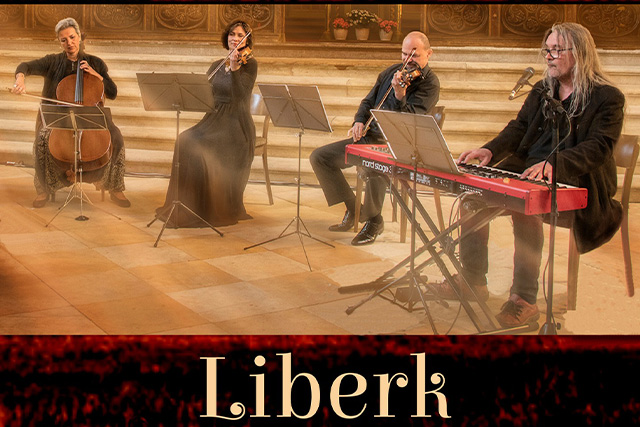 Koncert Roman Dostál