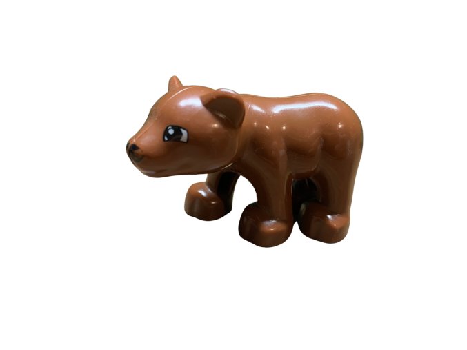 Hnšdý medvěd mládě