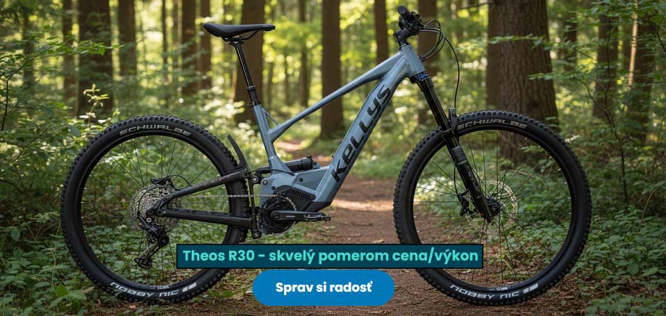 Kellys Theos R30 820Wh, Panasonic Ultimate 95NM