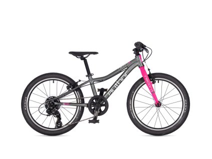 AUTHOR RECORD 20 2026 10" STRIEBORNÁ/RUŽOVÁ