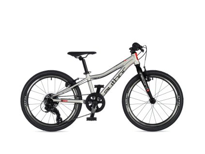 AUTHOR RECORD 20 2026 10" STRIEBORNÁ/ČIERNA