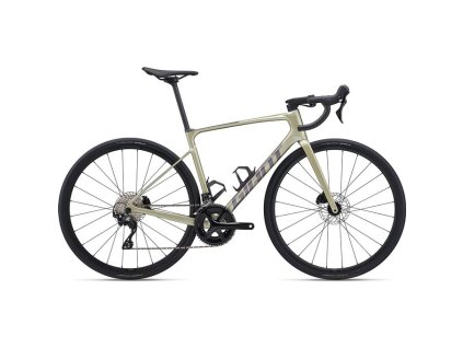 387 giant defy advanced 2 l bay leaf