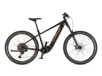 AUTHOR ELEVATION 27.5 ASL 2025 ČIERNA/ZLATÁ 19"