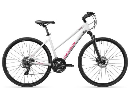 57205 ZA4 41 Snowberry