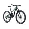 1815 2 liv giant intrigue 29 1 s kelp forest m24