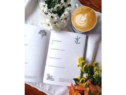 Zápisník Večernice