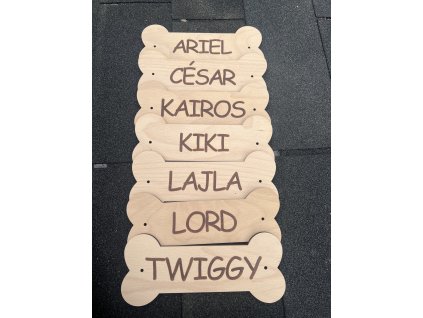 Dřevěná kost se jménem psa