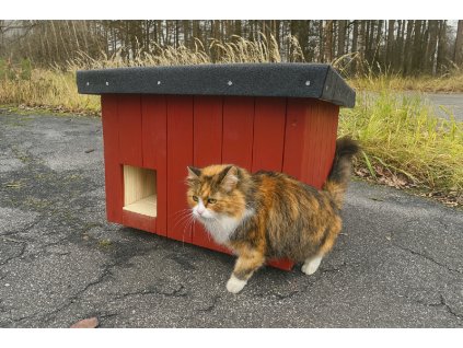 AAAD5558 1C3B 4627 A66A E40EACE2CB37