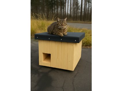 79171D42 0BD1 42A3 A58E 10F94B49E0D8