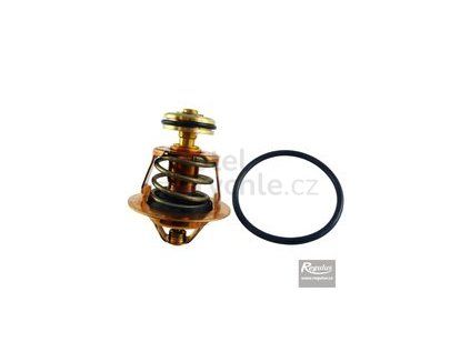 Termočlen k ventilu TSV5BMF 6/4"M - 65 °C