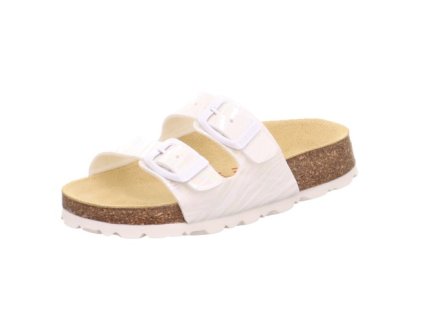 Snímek obrazovky 2025 12 19 142553