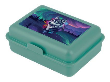 box na svacinu aurora 763379 45