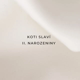 🥳 Značku KOTI studio jsem založila před dvěma lety za úplně jiným účelem. 🪴Vyráběla jsem bytové dekorace a logo si tenkrát...