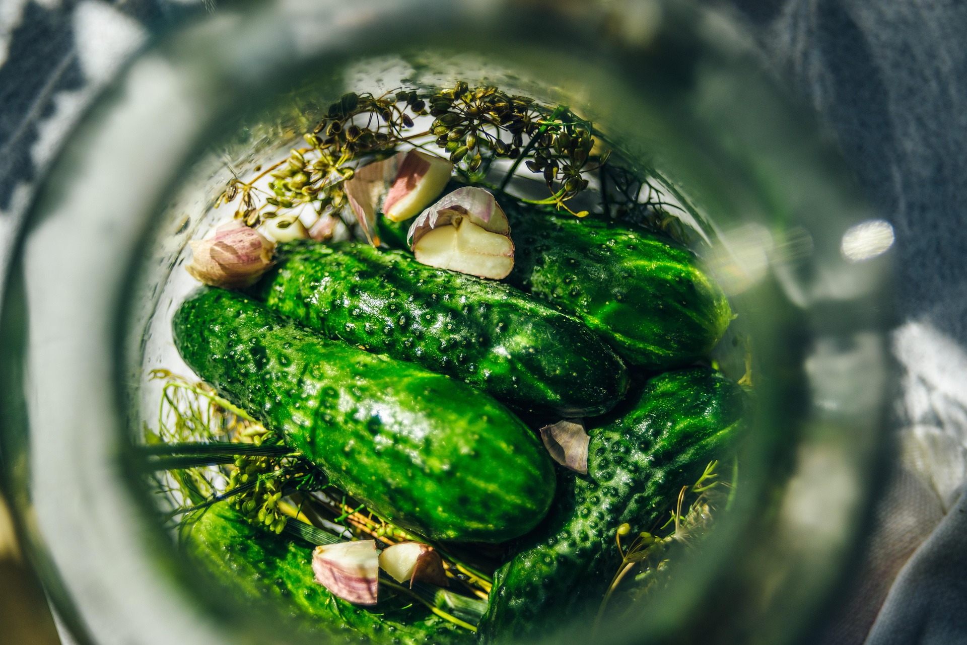 Green plum recept: Letní restart, wellness rituál se zelenou švestkou KOTSAM