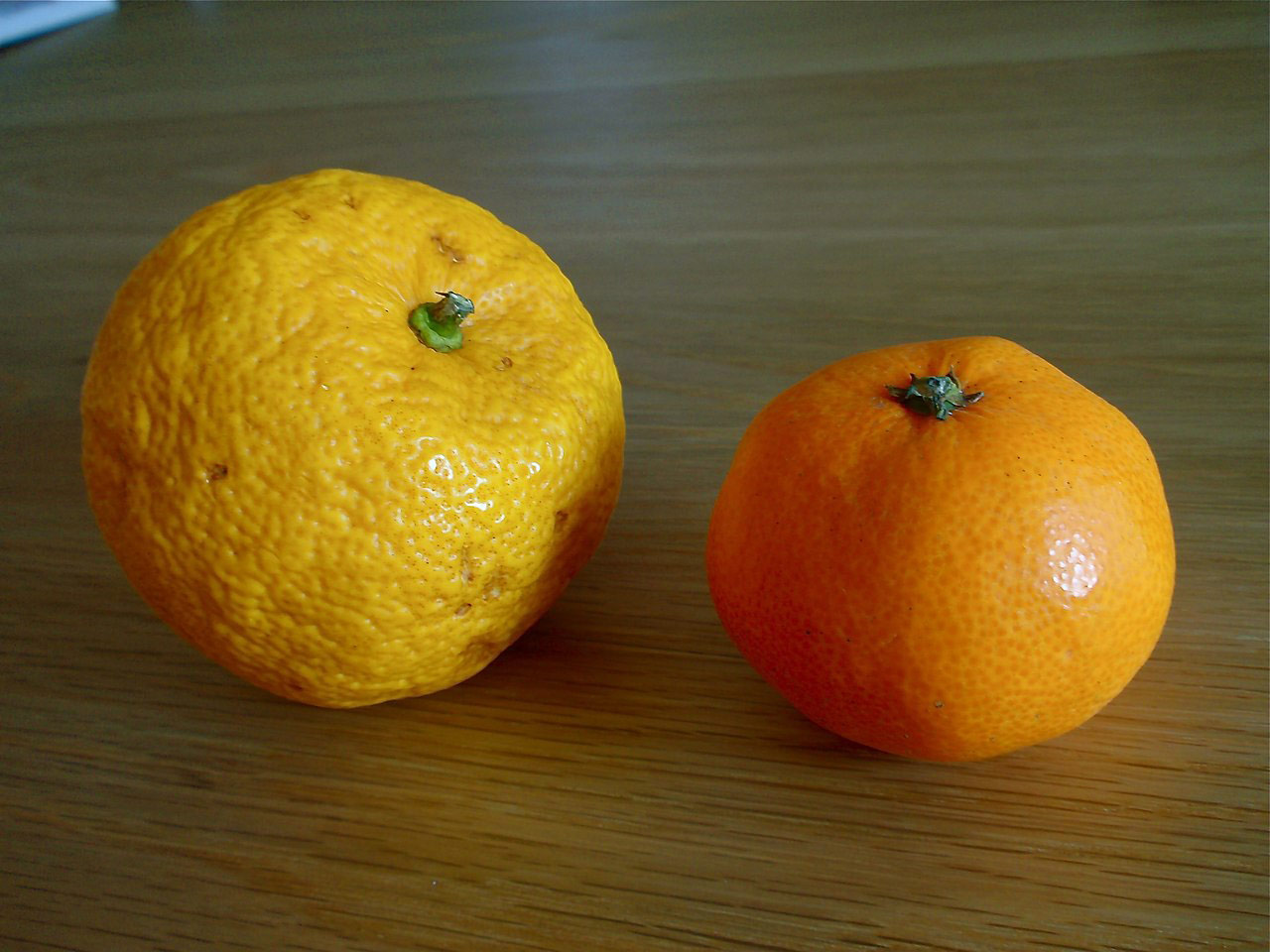 Porovnání yuzu a mandarinky vedle sebe, rozdílná kůže a velikost