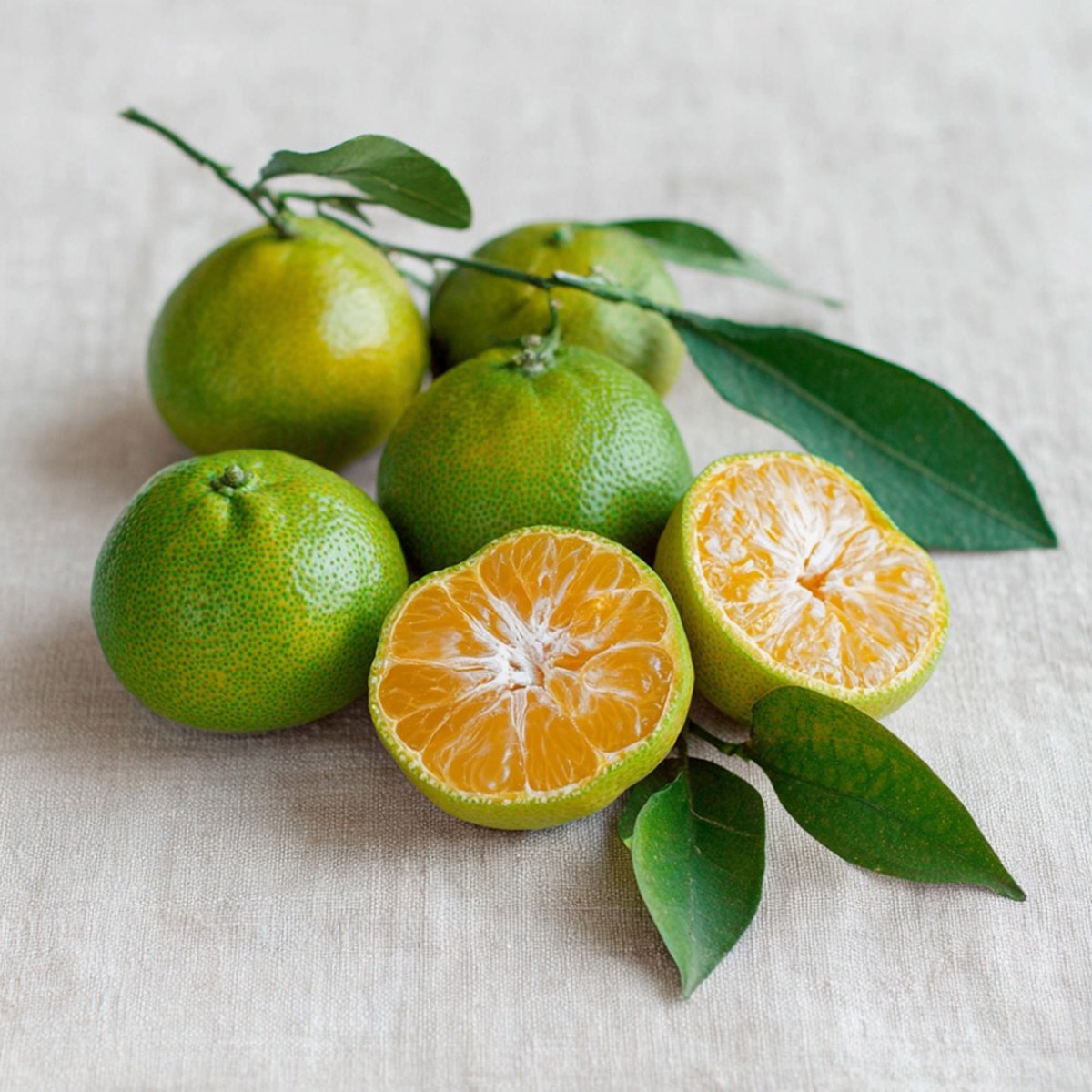 Zelená mandarinka – pět kusů; jedna rozpůlená s viditelnou oranžovou dužinou; hlavní ilustrační fotografie k článku.