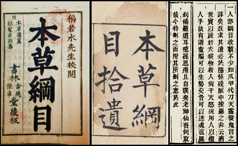 bonchokangmok-supyu-yuzu-semena