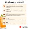 priprava zazvorovy