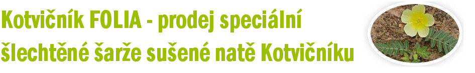 Kotvičník zemní - prodej sušené natě