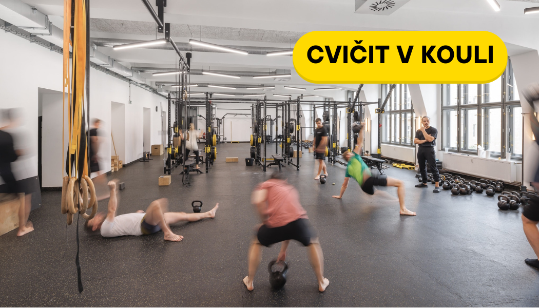 CVICIT_V_KOULI