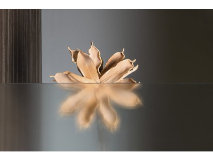 Aqualine PILOT 80 x 190 cm PT082 sprchové dveře dvojkřídlé