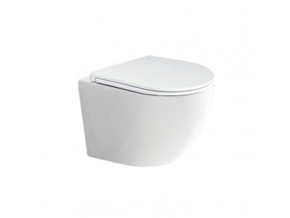 Mereo WC závěsné kapotované RIMLESS 490x370x360 vč. sedátka keramika bilé VSD82S