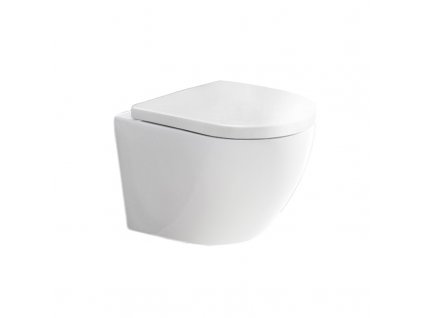 Mereo WC závěsné kapotované RIMLESS 490x370x360 vč.sedátka keramika bílé VSD82S2