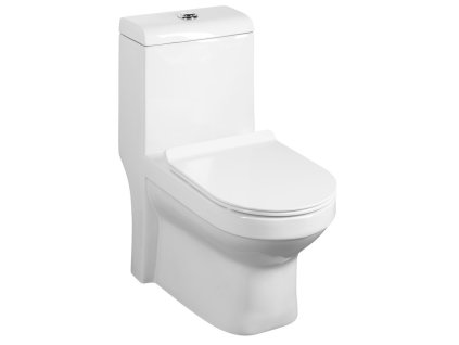 Sapho Hubert WC kombi 36 x 78,5 x 71,5 cm zadní spodní odpad bílá PB304