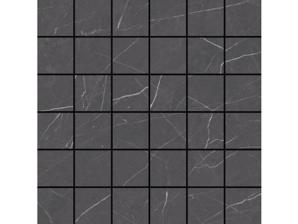 DC4024 Mosaic Muse Coal