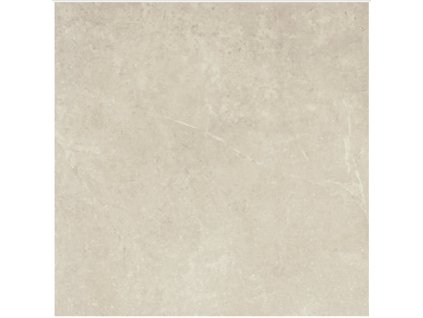 More Tortora 60x60