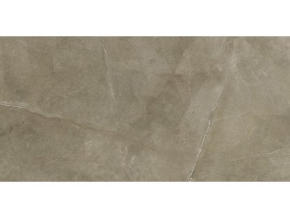 Lux Taupe 60x120