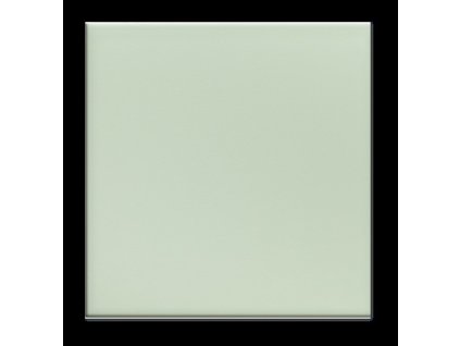 049.0 VERDE CLARO BRILHO 15x15