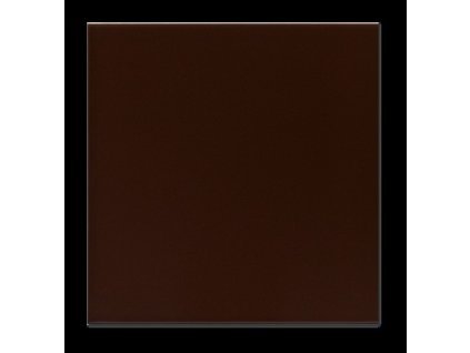 580.0 CASTANHO ESCURO BRILHO 15x15