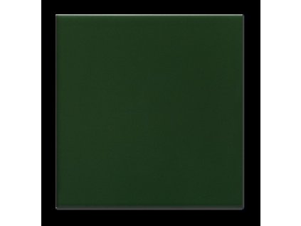 620.0 VERDE WAGON BRILHO 15x15