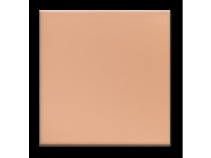 680.0 BEGE ESCURO BRILHO 15x15