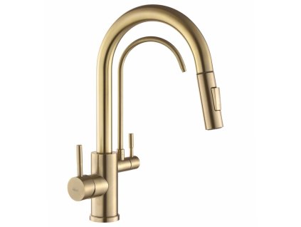 REA - Kuchyňská baterie Eco Fresh BRUSH GOLD REA-B7596
