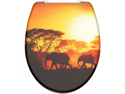 wc africa uvodni fotka