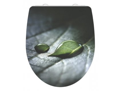 raindrop 82583 1