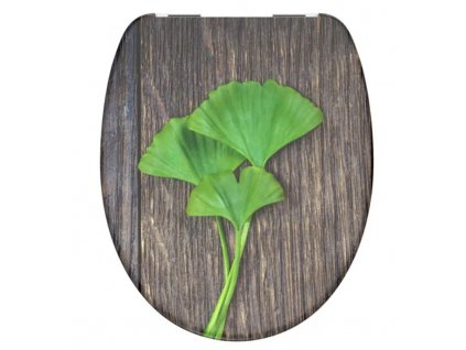 gingko 2