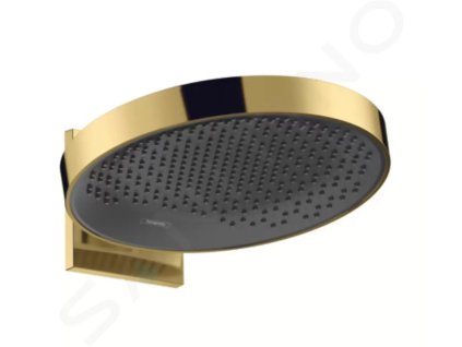 Hansgrohe 26230990 - Hlavová sprcha 360 s připojením, 1 proud, leštěný vzhled zlata