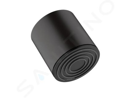 Hansgrohe 24130670 - Hlavová sprcha 105, 1 proud, matná černá