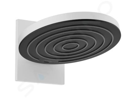 Hansgrohe 24150700 - Hlavová sprcha 260 s připojením, 2 proudy, matná bílá