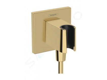 Hansgrohe 26889990 - Sprchové kolínko s držákem, zlatá