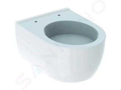 Geberit 204030600 - Závěsné WC, 350x490 mm, s KeraTect, bílá